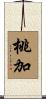 桃加 Scroll