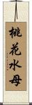 桃花水母 Scroll
