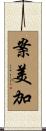 案美加 Scroll