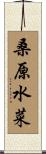 桑原水菜 Scroll