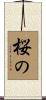 桜の Scroll