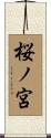 桜ノ宮 Scroll