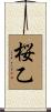 桜乙 Scroll