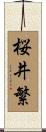 桜井繁 Scroll