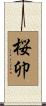 桜卯 Scroll