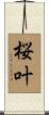 桜叶 Scroll