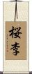 桜李 Scroll