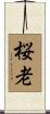 桜老 Scroll