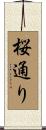 桜通り Scroll
