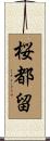 桜都留 Scroll