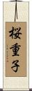 桜重子 Scroll