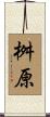桝原 Scroll