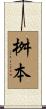 桝本 Scroll