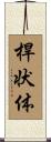 桿状体 Scroll