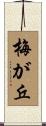 梅が丘 Scroll