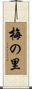 梅の里 Scroll