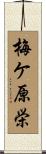 梅ケ原栄 Scroll
