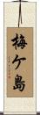 梅ケ島 Scroll