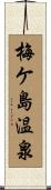 梅ケ島温泉 Scroll