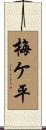 梅ケ平 Scroll