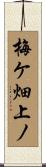 梅ケ畑上ノ Scroll