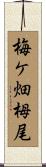 梅ケ畑栂尾 Scroll