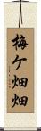 梅ケ畑畑 Scroll