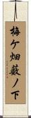 梅ケ畑薮ノ下 Scroll