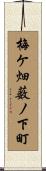梅ケ畑薮ノ下町 Scroll