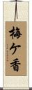 梅ケ香 Scroll
