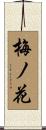 梅ノ花 Scroll