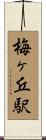 梅ヶ丘駅 Scroll