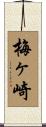 梅ヶ崎 Scroll