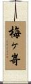 梅ヶ嵜 Scroll