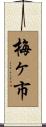 梅ヶ市 Scroll