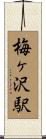 梅ヶ沢駅 Scroll
