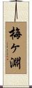 梅ヶ淵 Scroll