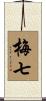 梅七 Scroll