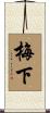梅下 Scroll