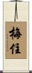 梅住 Scroll