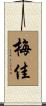 梅佳 Scroll