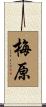 梅原 Scroll