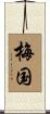 梅国 Scroll