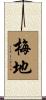梅地 Scroll