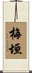 梅垣 Scroll