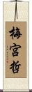 梅宮哲 Scroll