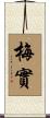 梅實 Scroll