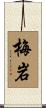 梅岩 Scroll