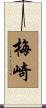 梅崎 Scroll