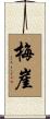 梅崖 Scroll
